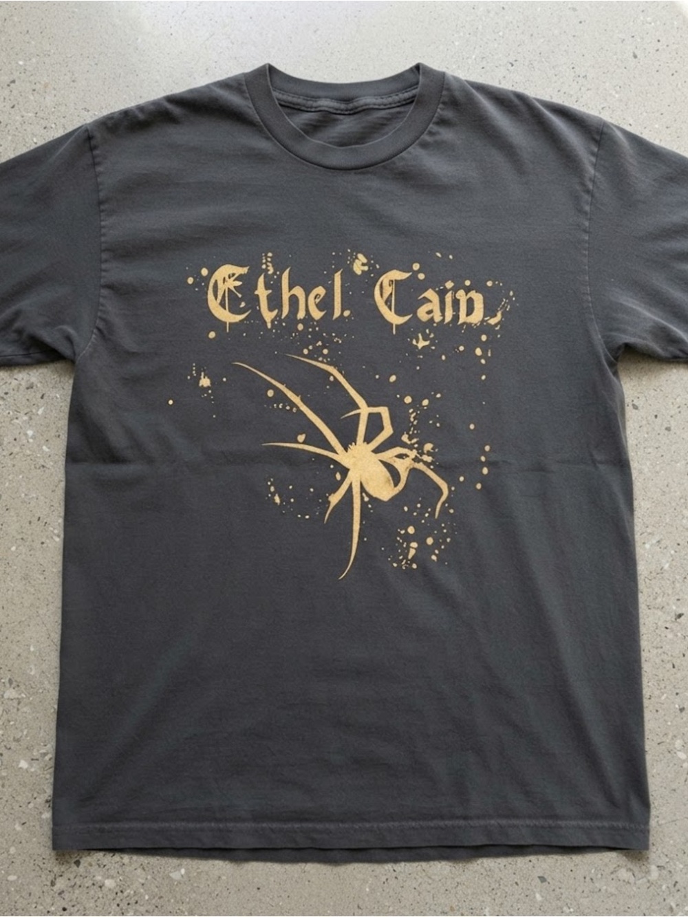 Indie Alternative Music Graphic Print Gray Gildan T-shirt